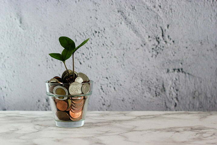 photo for Likes Are Now a Currency article displaying image of plant inside transparent pot filled with coins likes