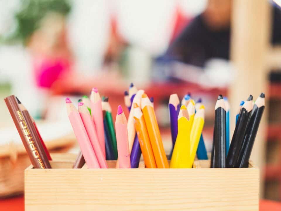 image of coloured pencils in a wooden container for the article types of loyalty programme