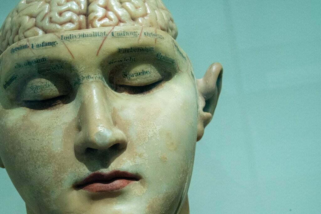 model of brain in human head brain model from 20th century german labels written on skull for sales pipelines ras article