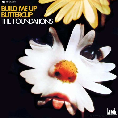 popcorn the foundations build me up buttercup album cover